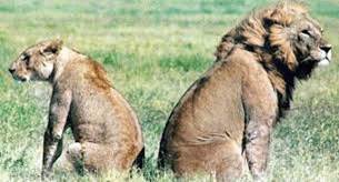 Семейные стрессы – как неотъемлемая часть любой семьи